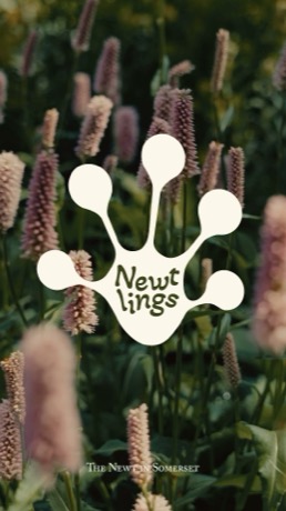 The Newt in Somerset creative