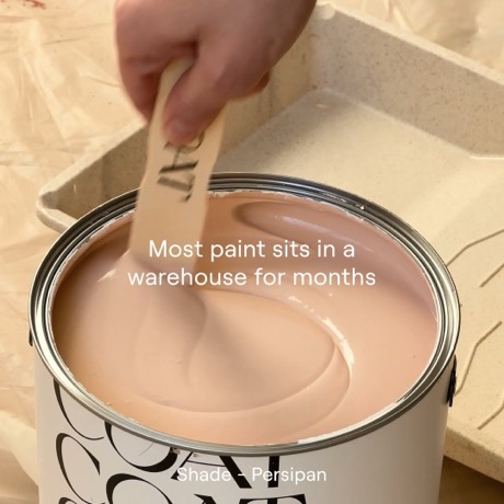 COAT paints creative