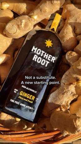 Mother Root Drinks creative