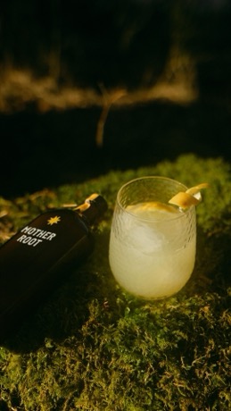 Mother Root Drinks creative
