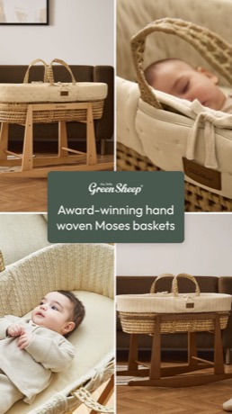 The Little Green Sheep creative