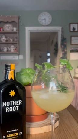 Mother Root Drinks creative