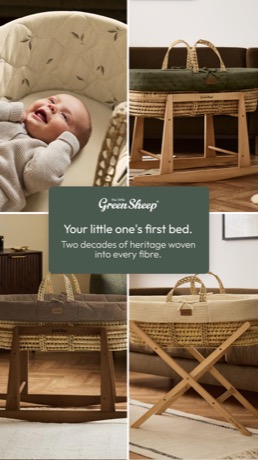 The Little Green Sheep creative