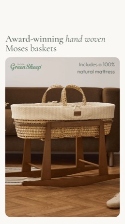 The Little Green Sheep creative