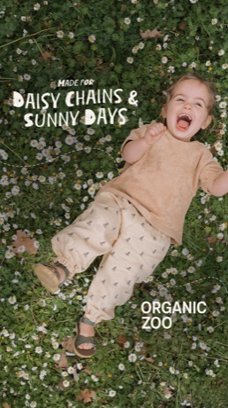 organic zoo creative