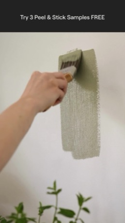 COAT paints creative