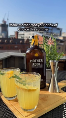 Mother Root Drinks creative
