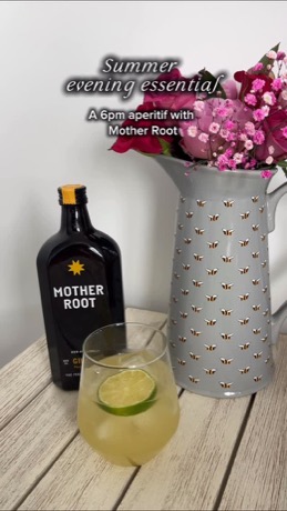 Mother Root Drinks creative
