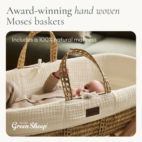 The Little Green Sheep creative